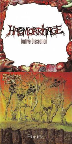 Embalming Theatre : Buried - Furtive Dissection